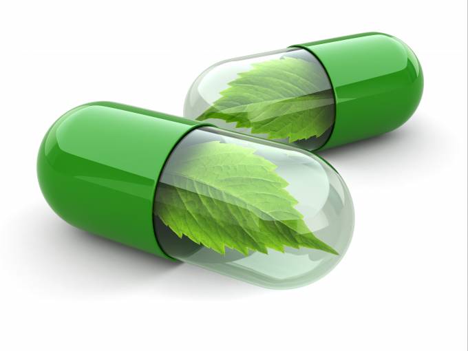 plantas medicinales